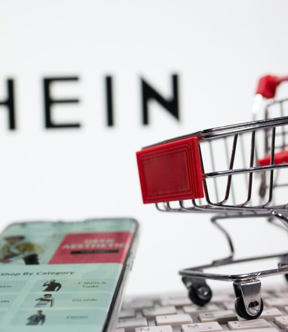 FILE PHOTO: A keyboard and a shopping cart are seen in front of a displayed Shein logo in this illustration picture